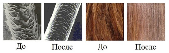 Botox cho tóc - nó là gì, quy trình được thực hiện như thế nào, các sản phẩm và đặc tính của chúng đối với các lọn tóc, ảnh và đánh giá