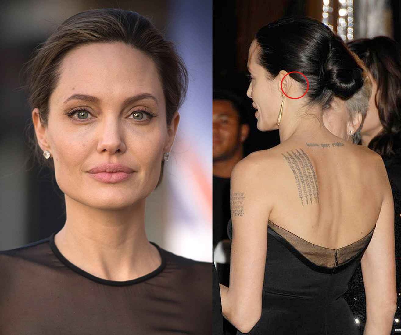 Angelina Jolie trước và sau khi phẫu thuật thẩm mỹ. Tuyển tập những bức ảnh của nữ diễn viên trước và sau khi phẫu thuật nâng mũi, nâng mũi plasma