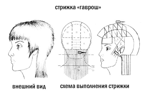 Haircut Gavroche pre krátke vlasy pre ženy. Ako to vyzerá, kto sa hodí, styling. Foto, pohľad spredu a zozadu