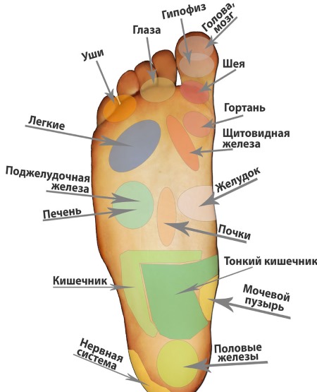 Kỹ thuật massage chân: các quy tắc và video bài học. Học bằng hình ảnh với giải thích: Thái, Trung Quốc, tại chỗ