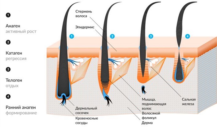 Phương tiện cho sự phát triển của lông mi trong các hiệu thuốc: dầu, huyết thanh, biogel. Làm thế nào để tăng cường lông mi và cải thiện sự phát triển của chúng