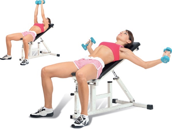 Entrenamiento de los músculos pectorales en el gimnasio para niñas para el peso, para bajar de peso.