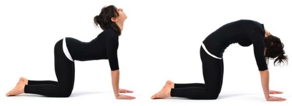 Exercicis d'esquena per a noies amb peses, una barra, en una barra horitzontal de casa
