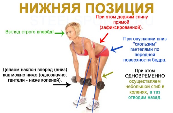 Exercices du dos pour les filles avec des haltères, une barre, sur une barre horizontale à la maison