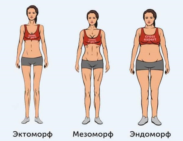 Các loại cơ thể ở phụ nữ: suy nhược, suy nhược cơ thể, suy nhược cơ thể, suy nhược cơ thể. BMI cách xác định