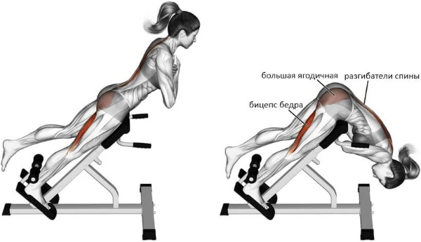 Hyperextension - huấn luyện viên lưng, cơ bụng, tăng cường cơ cột sống, kỹ thuật thực hiện