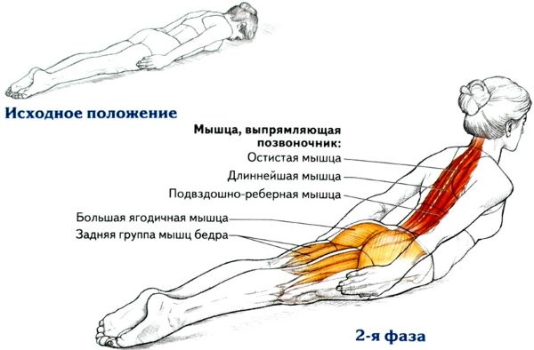 Hyperextension - huấn luyện viên lưng, cơ bụng, tăng cường cơ cột sống, kỹ thuật thực hiện