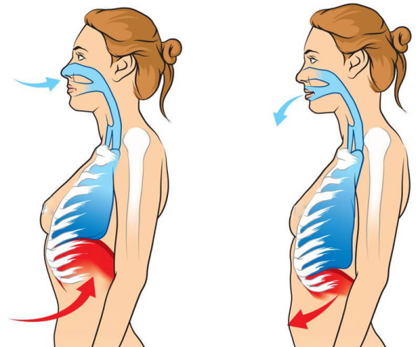 Bodyflex de gimnasia respiratoria para adelgazar abdomen y costados. Video tutoriales, técnicas
