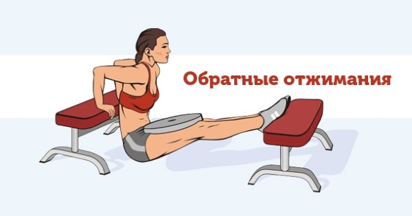 Bơm lưng khi tập gym với tạ, thanh tạ, dây thun, tạ cơ thể, trên thanh ngang