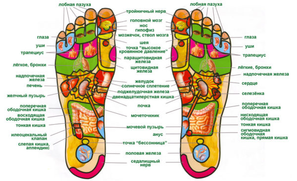 Các huyệt đạo trên bàn chân người. Cách bố trí chân trái, chân phải