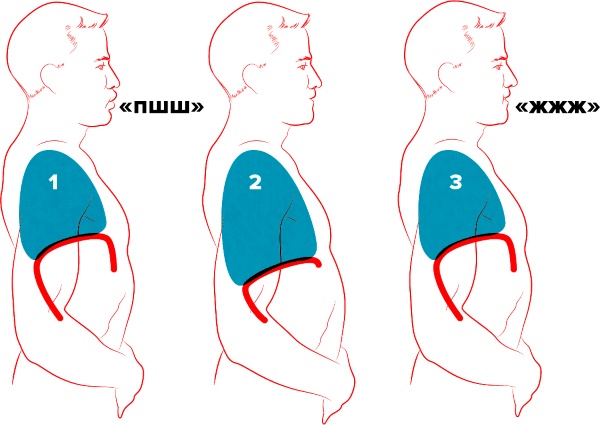 Jak napompować mięsień poprzeczny brzucha. Ćwiczenia treningowe