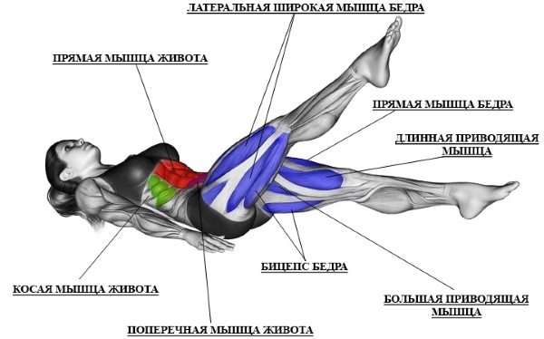 Ćwiczenia z nożyczkami do nóg: które mięśnie pracują, korzyści, jak to zrobić