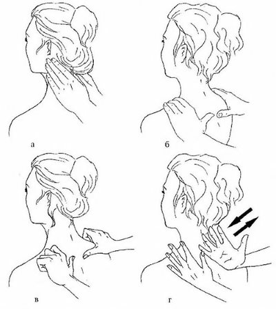 Exercicis per a la zona del coll i el coll, massatges. Com fer videotutorials