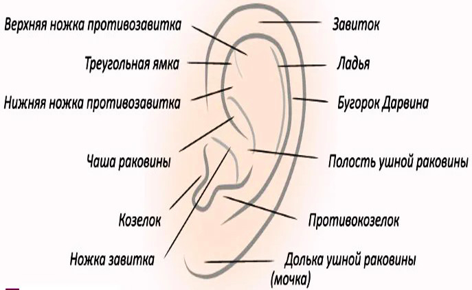 Cirurgia de l’oïda per l’orella. Quin és el preu