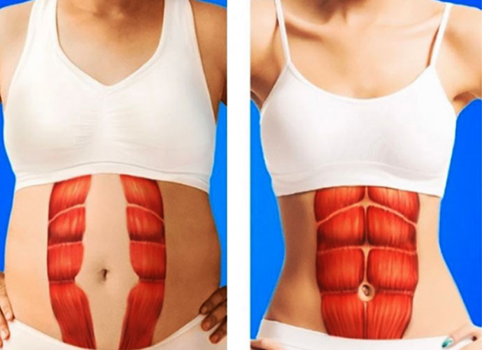Múscul abdominal transversal. Anatomia, funció, abdominals