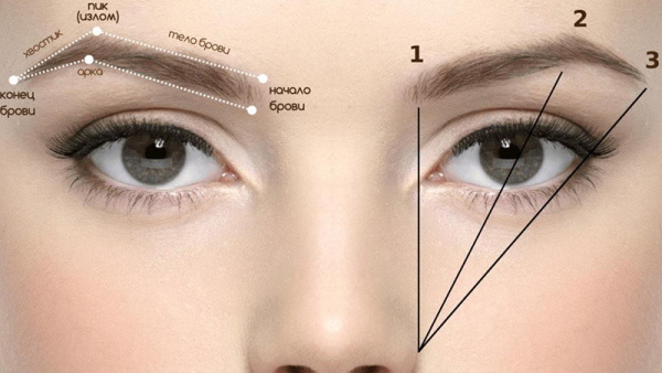 Arten von Augenbrauen bei Mädchen. Fotos, Titel, Korrekturen, Tätowierungen
